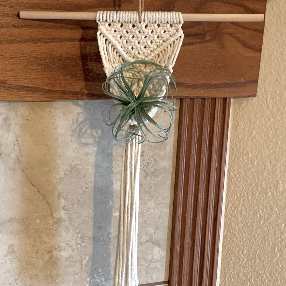 Handmade Decorative Macrame Air Plant “Hammock”
